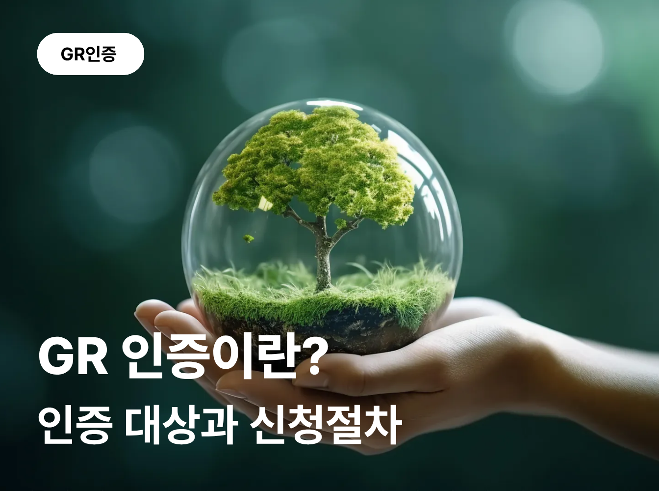 GR인증이란? 인증 대상과 신청절차 및 준비서류