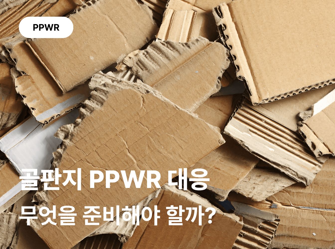 골판지도 PPWR 규제 대상일까요?