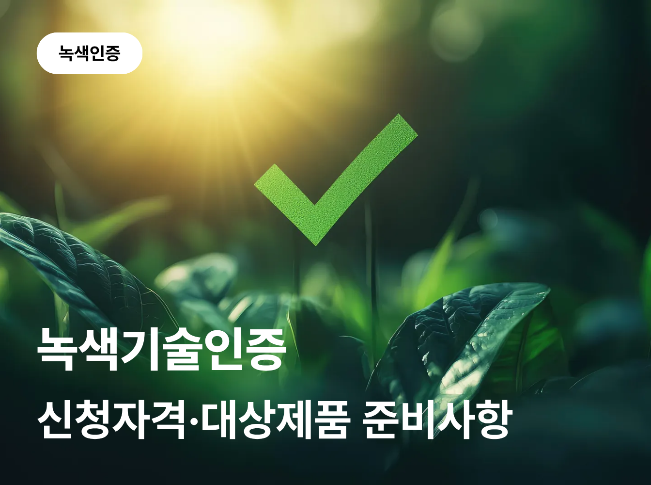 녹색기술인증 신청자격과 대상 제품은 무엇인가요?